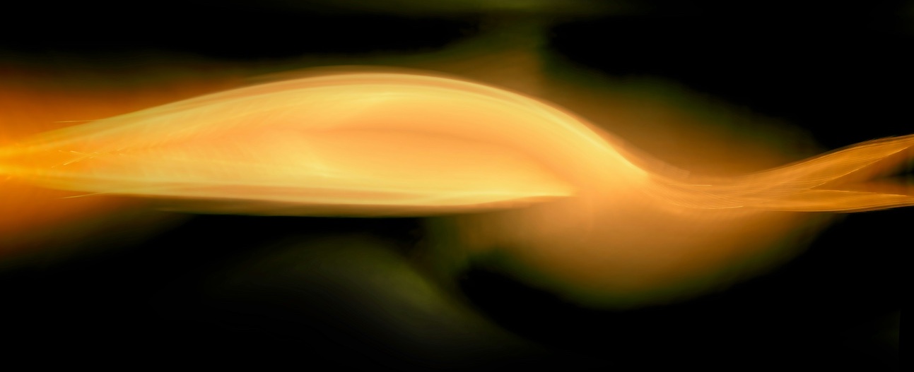 Mariola Grobelska image from Unsplash